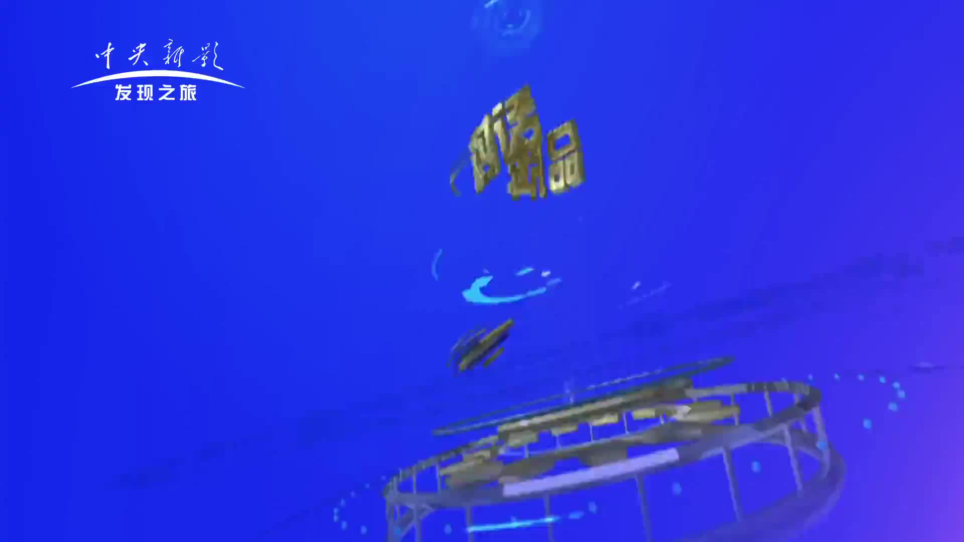 砥砺奋进 科技创新 CCTV《对话品牌》栏目组访谈美松董事长
